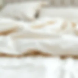 Luxurious duvet cover showcasing premium quality fabric