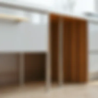 Installation of Adjustable Stainless Steel Legs Installation of adjustable stainless steel legs on a contemporary cabinet