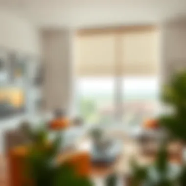 Stylish Roller Shades Stylish roller shades in a modern living room