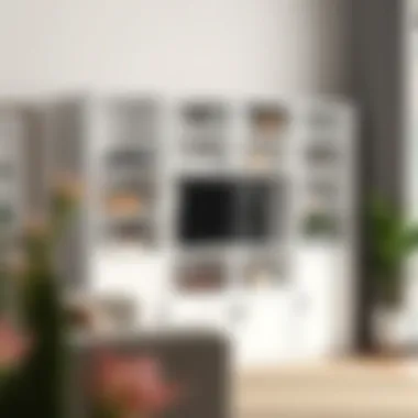 Stylish Cube Shelving Design Elegant cube shelving unit with closed doors