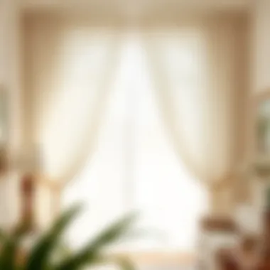 Elegant Sheer Curtains Elegant sheer curtains allowing natural light to filter through