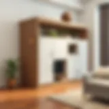 Contemporary storage unit designed like a modern house