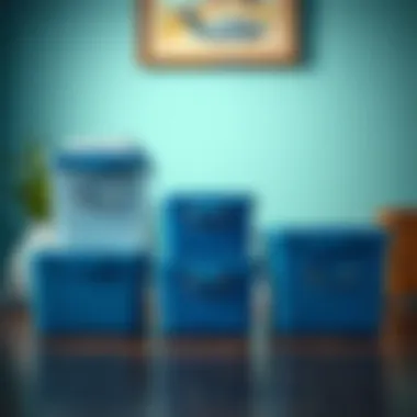 Comparison of Iris storage boxes with traditional storage solutions