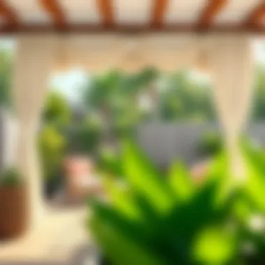 Installation of outdoor curtains in a backyard