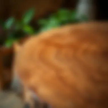 Close-up of round wood table showcasing intricate grain patterns