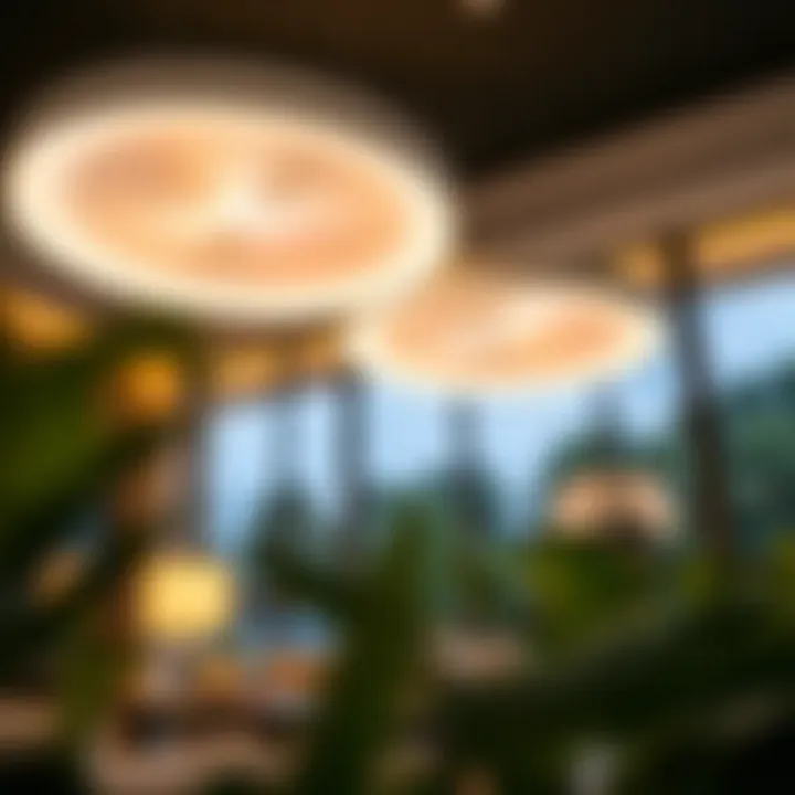 Energy Efficiency and Ambiance with Smart Lighting Energy-efficient smart ceiling lights enhancing home ambiance