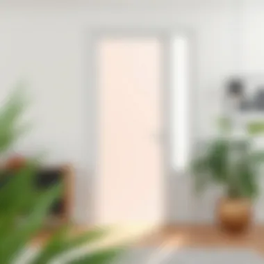 Frosted glass door enhancing natural light in a modern space