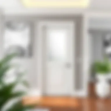 White door with frosted glass complementing various decor styles