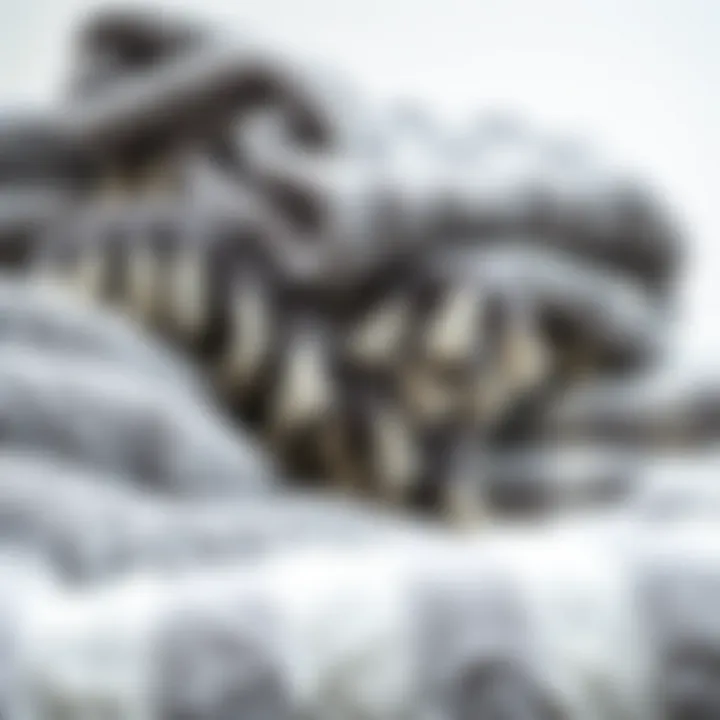 Different shades and patterns of grey fuzzy blankets displayed together