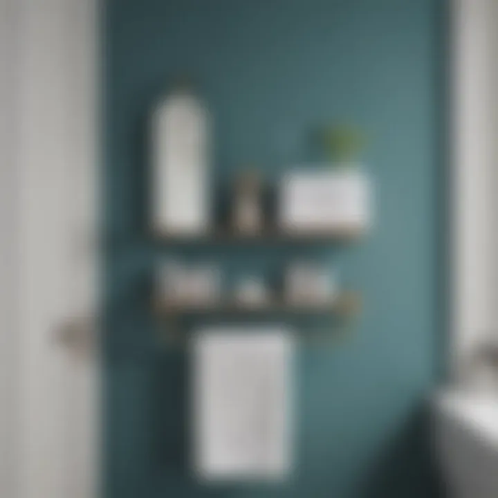 Towel hanger shelf displaying effective use of space in a small bathroom