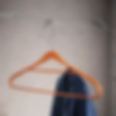 A stylish removable hanger made from sustainable materials.