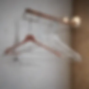 Different types of removable hangers displayed for comparison.