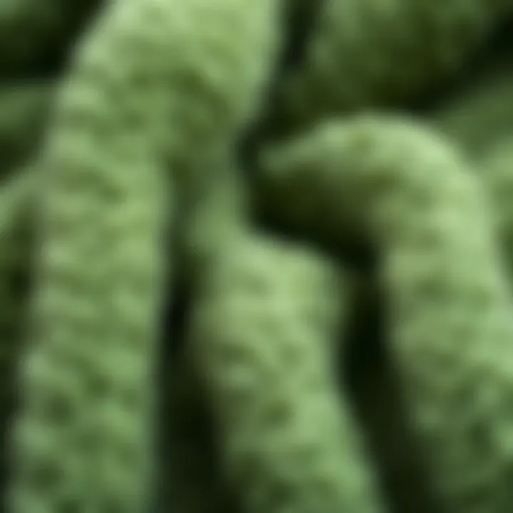 Textural Delight Close-up of the soft texture of green chenille fabric