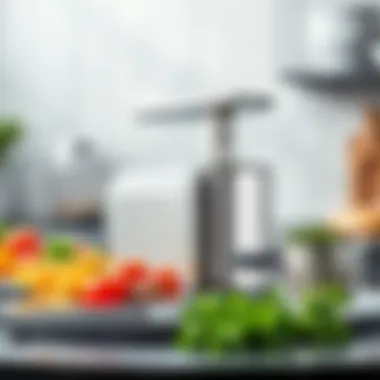 Sleek Design of Stainless Steel Spiralizer Elegant stainless steel spiralizer showcasing its sleek design