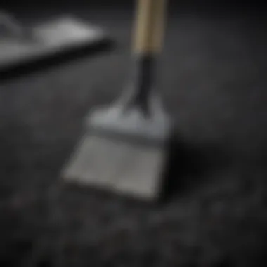 Maintaining a black rug with cleaning tools