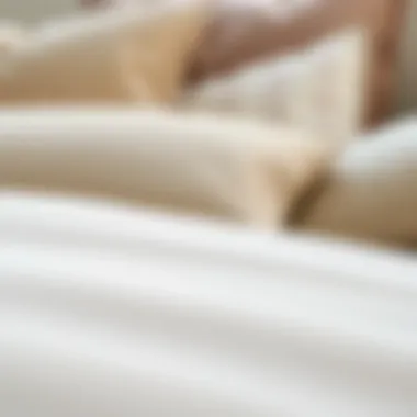 Close-up of high-quality materials used in daybed pillows