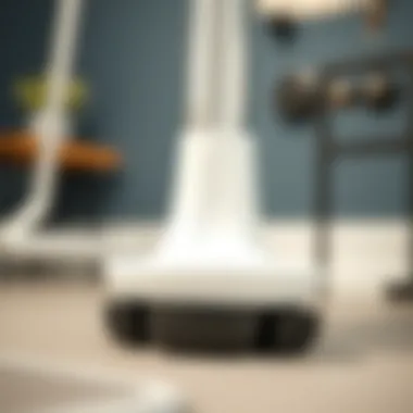 Maintaining Rubber Feet for Longevity and Safety Maintenance guide for rubber feet in bathroom settings