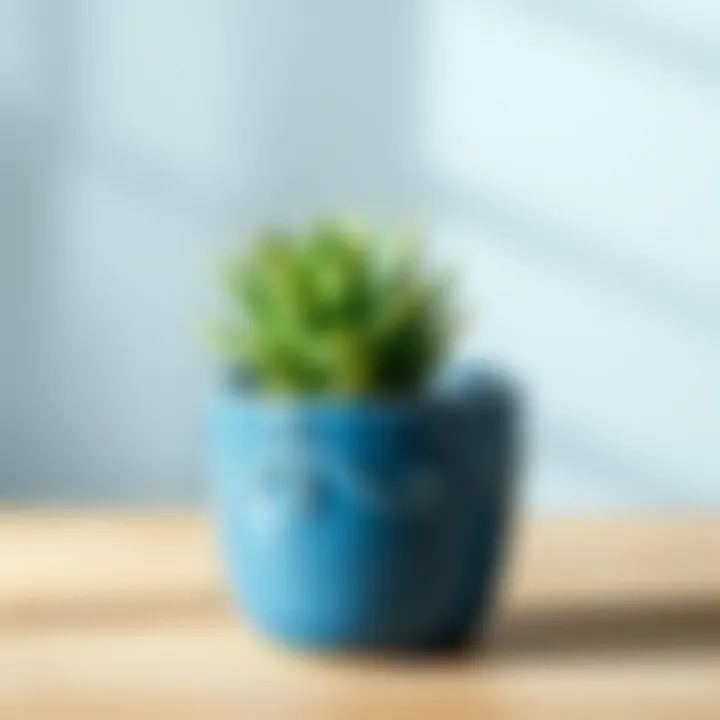 Elegance in Blue: A Ceramic Planter with a Touch of Green Elegant small blue ceramic planter with a succulent