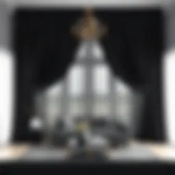 Elegant black canopy curtains in a modern living room