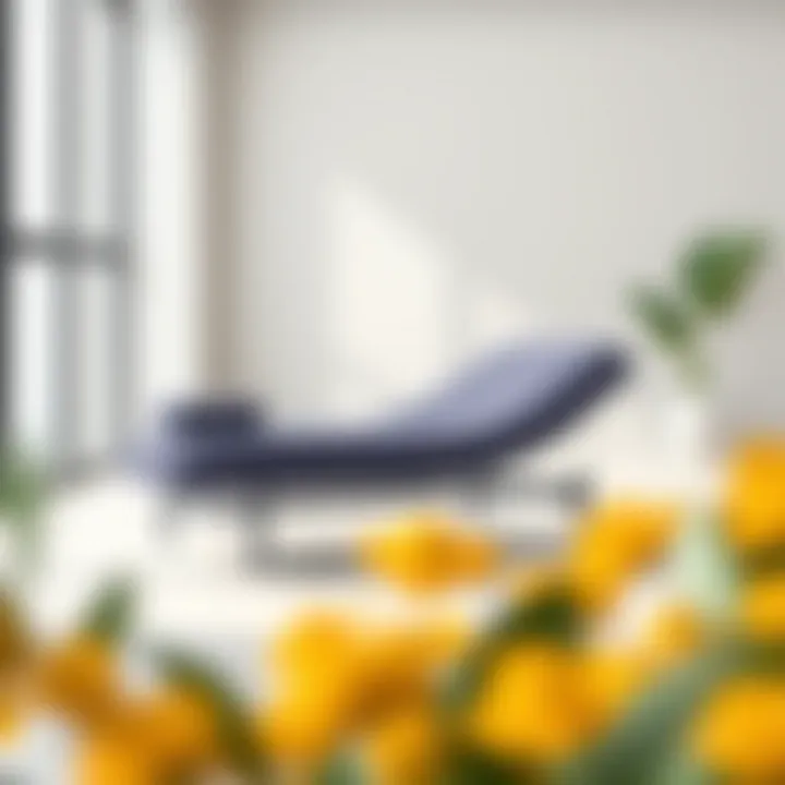 Contemporary Minimalism: The Chaise Lounge Reimagined Modern chaise lounge in a minimalist space