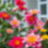 Vibrant weatherproof artificial flowers in a garden setting